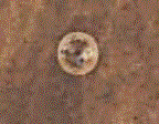 Satellite Photo of S4 Disc