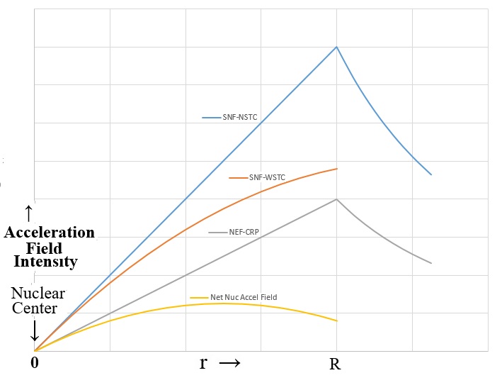 Acceleration Fields Inside Nucleus