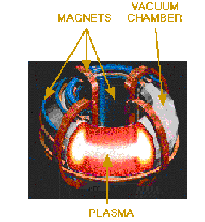 Cutaway Diagram of Tokomak Reactor